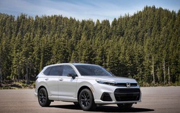 Gần 400 xe Honda CR-V bị triệu hồi ở Mỹ, điều gì đang xảy ra với hãng xe Nhật có tuổi đời hơn 30 năm tại thị trường Việt Nam