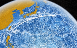 Ngoài khơi Nhật Bản đang diễn ra hiện tượng kỳ quái nhất trên Trái đất