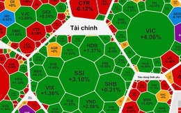 Chứng khoán ngày 19-12: Cổ phiếu họ Vingroup "tím lịm", VN-Index lại vượt 1.700 điểm