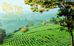 Trà Việt Vươn Mình: Dấu Ấn Quốc Tế Từ World T.E.A Fest 2025