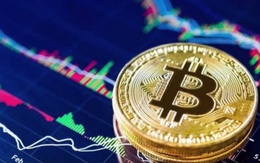 Vi phạm hành chính trong lĩnh vực tài sản mã hóa sẽ bị phạt đến 200 triệu đồng