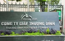 Sức nóng thoái vốn tác động gì tới cổ phiếu?