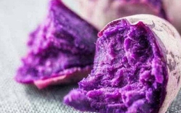 Không phải thuốc bổ, đây mới là 4 thực phẩm giúp chống lão hóa tự nhiên vào mùa đông