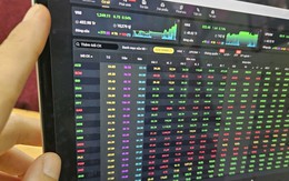 Chuyên gia: Chứng khoán tuần tới tích cực, vẫn chờ dòng tiền lớn