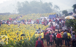 Nơi được quan tâm nhất lúc này ở Nghệ An: Cảnh như nước ngoài, mở cửa miễn phí nhưng có lưu ý đặc biệt