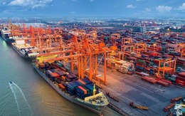 Xuất nhập khẩu Việt Nam lập kỷ lục 920 tỷ USD