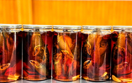 Đặc sản cua gạch Cà Mau ngâm nước mắm giá gần 1 triệu đồng/kg