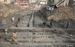 Đào móng công trình, đội công nhân phát hiện trận cọc gỗ "hình chữ T" bí ẩn, chuyên gia lập tức phong tỏa hiện trường