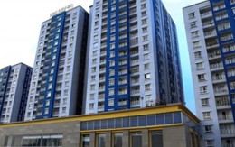 Doanh nghiệp 'họ' CII mua vào gần 10 triệu cổ phiếu NBB