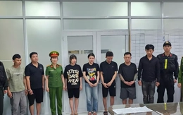 Triệt phá đường dây 'phù phép' thịt heo thành thịt bò, mỗi ngày bán 600 kg ra thị trường