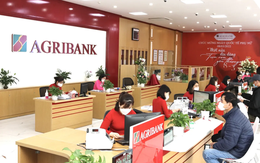 Agribank phát cảnh báo tới các hộ kinh doanh, liên quan thông tin tài khoản