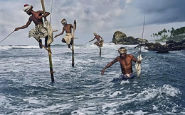 Phiên 23/12: Gần 700 tỷ đồng cổ phiếu Việt Nam được khối ngoại "tung tiền" gom mạnh, mã nào là tâm điểm?