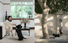 Căn hộ 200m² và người phụ nữ tuổi 40 sống một mình: Minh chứng rằng tự do đến từ tài chính vững, không phải hôn nhân