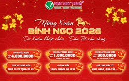 Du lịch Tết Nguyên đán Bính Ngọ 2026: Đặt sớm, đón xuân an tâm với Đất Việt Tour
