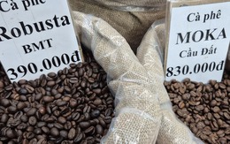 Giá cà phê hôm nay 24-12: Việt Nam là nguồn cung cà phê số 1 cho Tây Ban Nha
