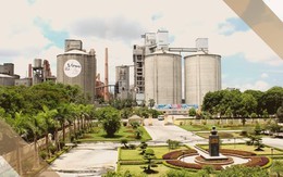 Từ mức lỗ nghìn tỷ, một tổng công ty nhà nước đã "ngoi" lên mặt đất báo lãi gần 290 tỷ trong năm 2025