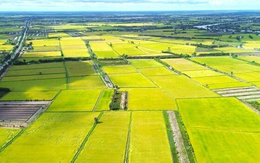 Giá đất nông nghiệp vài trăm nghìn đồng/m², quá thấp so với đất ở: Có nên tăng?