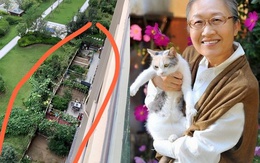 Sau 5 năm sống ở tầng 24, mẹ tôi chuyển xuống tầng một và “sống lại”: Sự thay đổi khiến cả họ hàng bất ngờ