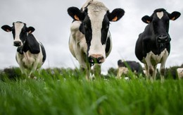 Trung Quốc ‘trả đũa’