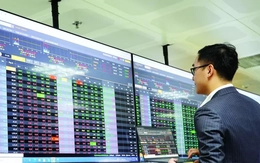 Chứng khoán tiếp tục lập đỉnh, nhà đầu tư nhận quà Noel