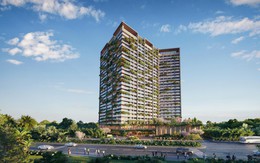 Kinh tế bạc: Làn sóng nghìn tỷ USD đang định hình lại thị trường bất động sản