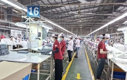 Doanh nghiệp FDI lâu đời nhất TPHCM sắp đóng cửa