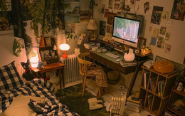 Ai cho đồ cứ lấy, riêng 3 thứ này thì không, bất kể nó đắt đến đâu