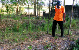 Đi tìm phế liệu, người dân Hà Tĩnh phát hiện kho báu nặng 15kg: Hàng nghìn đồng tiền kết thành mảng được đào lên