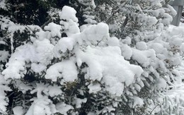 Nơi vừa có tuyết rơi hiếm có sau gần 20 năm!