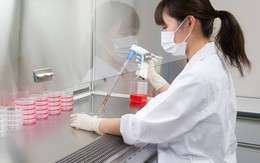 “Khoa học về Axit amin”: Tập đoàn Ajinomoto ‘lấn sân’ sang lĩnh vực chăm sóc sức khỏe