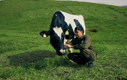 Mộc Châu Creamery: Kế thừa di sản để chuyển mình bền vững