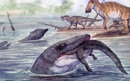 Thủy quái dài 11 mét "trỗi dậy" từ lòng sông cổ