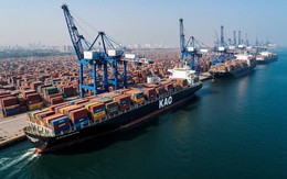 500 container "đặc sản" xuất khẩu Việt Nam đang bị tắc ở cảng nước bạn