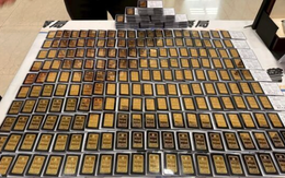 Gia đình “ăn vạ bảo hiểm” quái nhất: 12 năm bị thương 500 lần, lừa 14 công ty 23 tỷ đồng, đổi được 260 thỏi vàng và 7 căn nhà