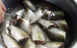 Ăn cá theo cách này, nhiều người bị tổn thương gan: Bác sĩ cảnh báo
