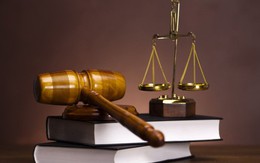 Vì sao Cienco1 bị xử phạt?