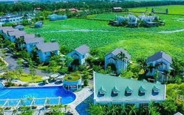 Một cổ đông cá nhân rời ghế cổ đông lớn tại TIG