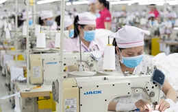 Công ty Panko Vina ngưng hoạt động: Chiều  nay, đoàn liên ngành làm việc với doanh nghiệp