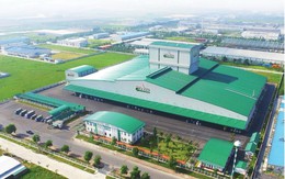 Một đại gia chăn nuôi báo lãi 1.700 tỷ trong 6T2025, gần gấp đôi Nông nghiệp Hòa Phát và Dabaco