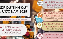 Đồng Nai bứt phá mạnh mẽ, GRDP năm 2025 vượt mục tiêu, khẳng định vai trò đầu tàu kinh tế của vùng và cả nước