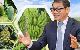Tỷ phú Trần Bá Dương kể về thương vụ bán chuối trong 10 năm cho "ông trùm" nông nghiệp Fresh Del Monte: Chúng tôi phải cam kết cung cấp dưới 90% sản lượng sẽ bị phạt 1 USD mỗi thùng (13 kg)