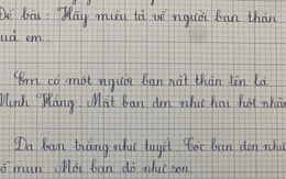 Học sinh tiểu học viết văn tả bạn thân gây sốt khắp cõi mạng: Đẹp cỡ này, đời có mấy ai?