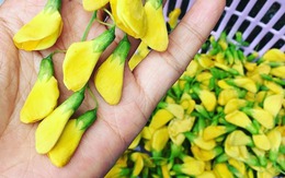 Đặc sản miền Tây: Xưa mọc dại bờ ao, nay thành "lộc trời", hơn 200.000/kg vẫn đầy người mua