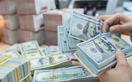 Cá nhân mua, bán ngoại tệ với nhau từ 1.000 USD sẽ bị tịch thu số tiền, phạt tới 100 triệu đồng