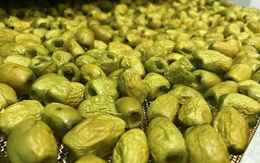 Quả dại "lột xác" thành mặt hàng hút khách, giúp nông dân thu lãi hơn 1 tỷ đồng/năm