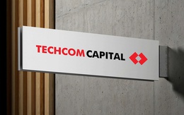 Quỹ cổ phiếu của Techcom Capital đạt hiệu suất đột phá khi VN-Index bứt tốc