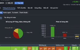 Chứng khoán 30-12: VN-Index bứt phá 12 điểm, một cố phiếu hóa chất "tím lịm"