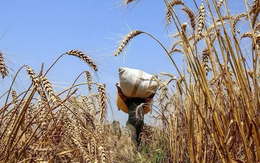 Giá hàng hóa có thể chạm đáy mới vào năm 2026