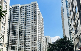 Kinh nghiệm 15 năm sống chung cư: Tôi nhận ra nên chọn màu sơn tông nóng hay lạnh, chọn đúng thì sống sướng, bán dễ