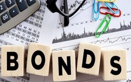 Một doanh nghiệp huy động thành công 2.200 tỷ đồng từ kênh trái phiếu